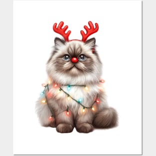 Christmas Red Nose Himalayan Cat Posters and Art